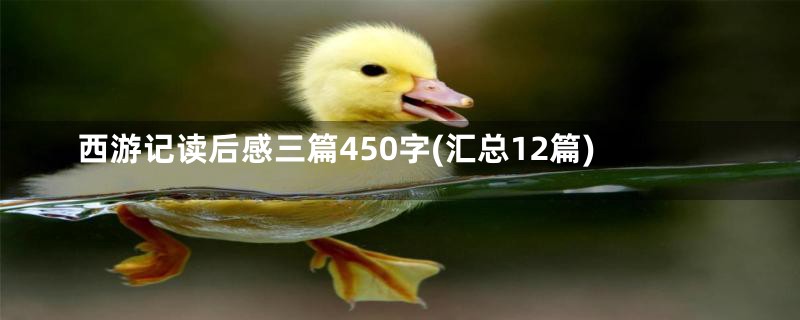 西游记读后感三篇450字(汇总12篇)