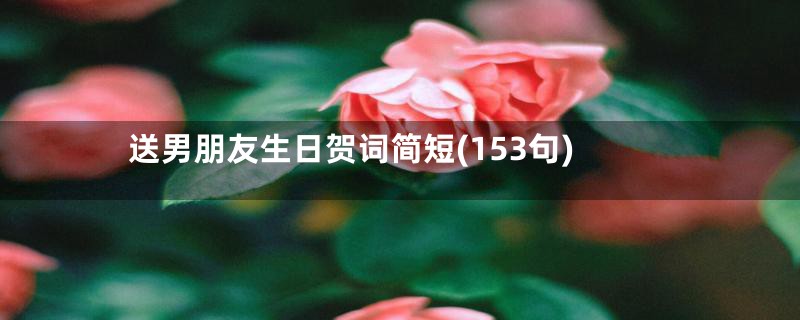 送男朋友生日贺词简短(153句)