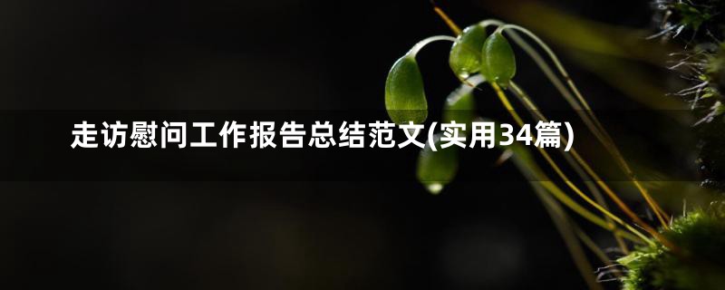 走访慰问工作报告总结范文(实用34篇)