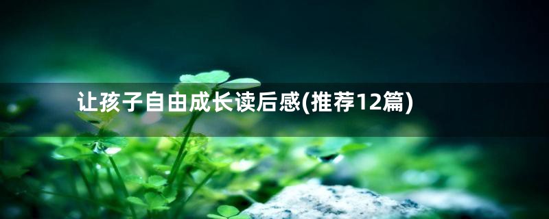 让孩子自由成长读后感(推荐12篇)