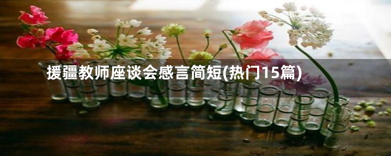 援疆教师座谈会感言简短(热门15篇)