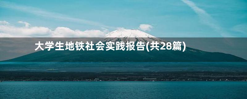 大学生地铁社会实践报告(共28篇)