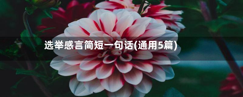 选举感言简短一句话(通用5篇)