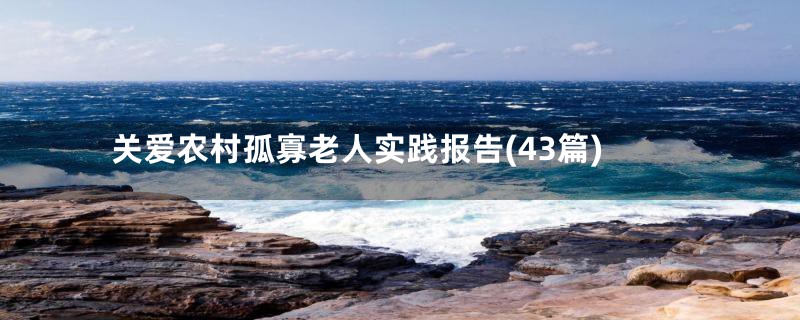 关爱农村孤寡老人实践报告(43篇)