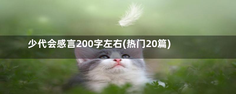 少代会感言200字左右(热门20篇)