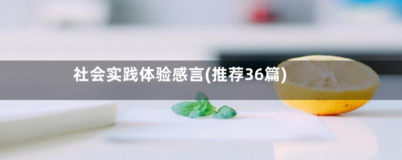 社会实践体验感言(推荐36篇)