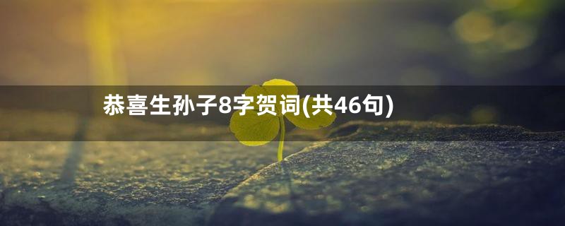 恭喜生孙子8字贺词(共46句)