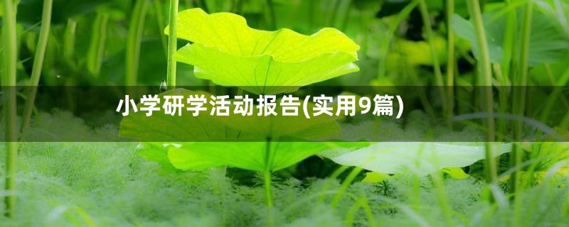 小学研学活动报告(实用9篇)