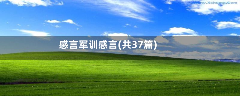 感言军训感言(共37篇)