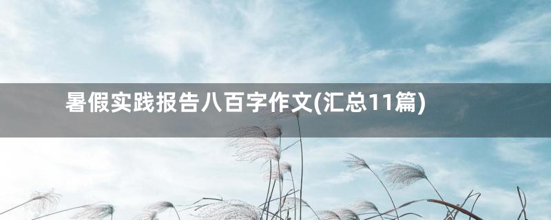 暑假实践报告八百字作文(汇总11篇)