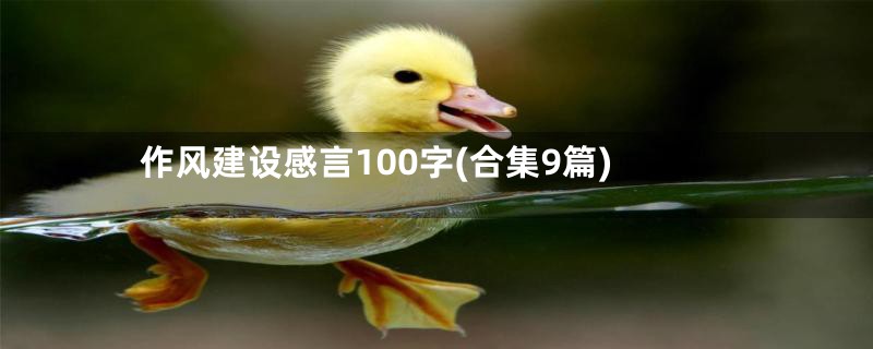 作风建设感言100字(合集9篇)