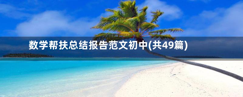 数学帮扶总结报告范文初中(共49篇)