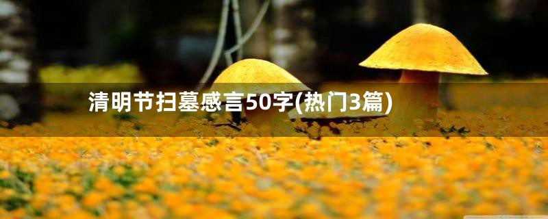 清明节扫墓感言50字(热门3篇)