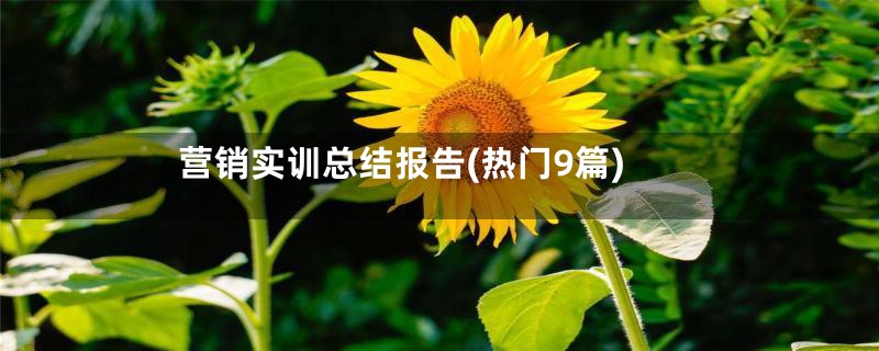 营销实训总结报告(热门9篇)