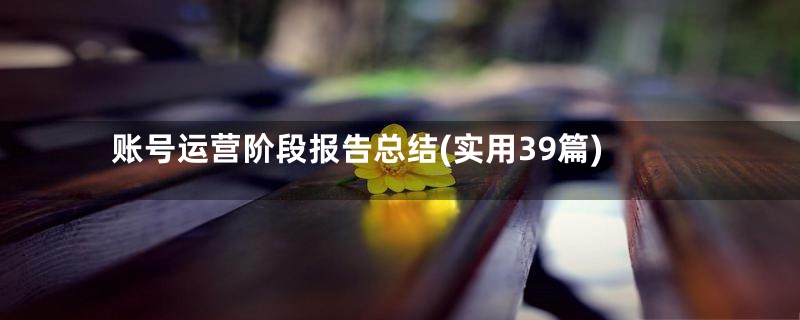 账号运营阶段报告总结(实用39篇)