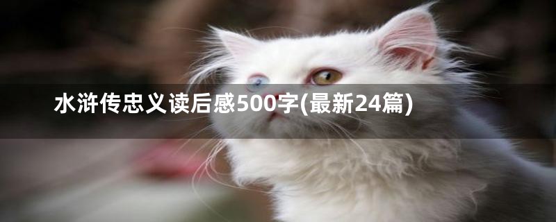 水浒传忠义读后感500字(最新24篇)