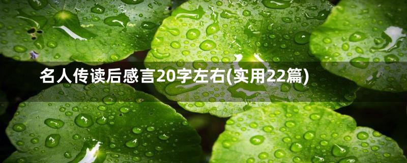 名人传读后感言20字左右(实用22篇)