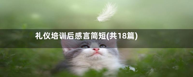 礼仪培训后感言简短(共18篇)