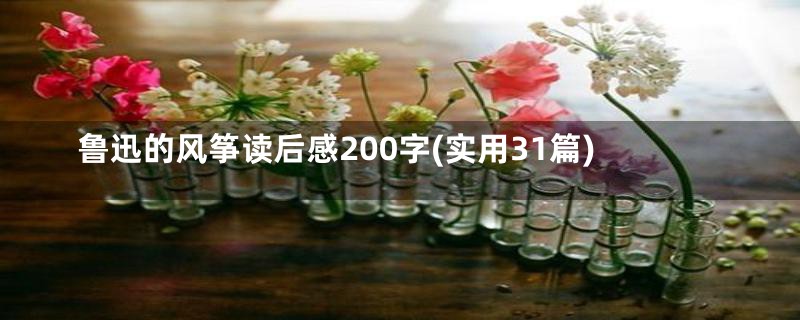 鲁迅的风筝读后感200字(实用31篇)