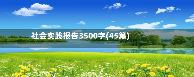 社会实践报告3500字(45篇)