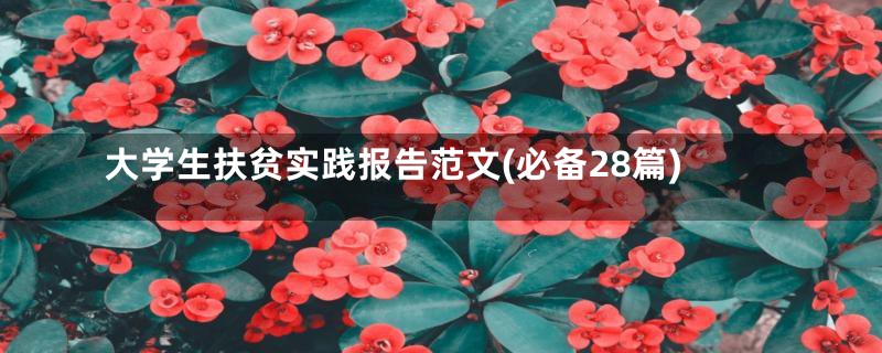 大学生扶贫实践报告范文(必备28篇)