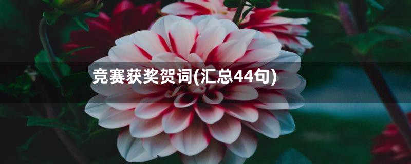 竞赛获奖贺词(汇总44句)