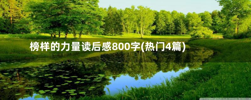 榜样的力量读后感800字(热门4篇)