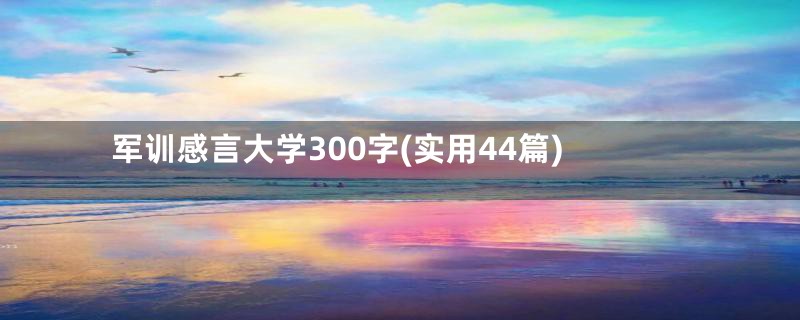 军训感言大学300字(实用44篇)