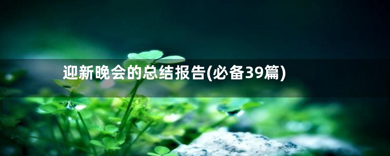 迎新晚会的总结报告(必备39篇)