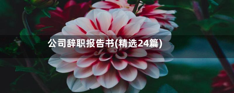 公司辞职报告书(精选24篇)