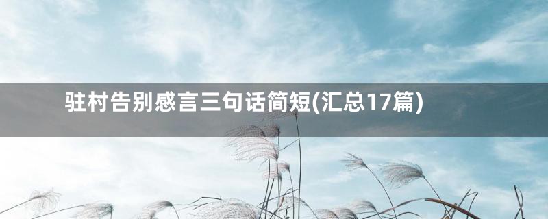 驻村告别感言三句话简短(汇总17篇)