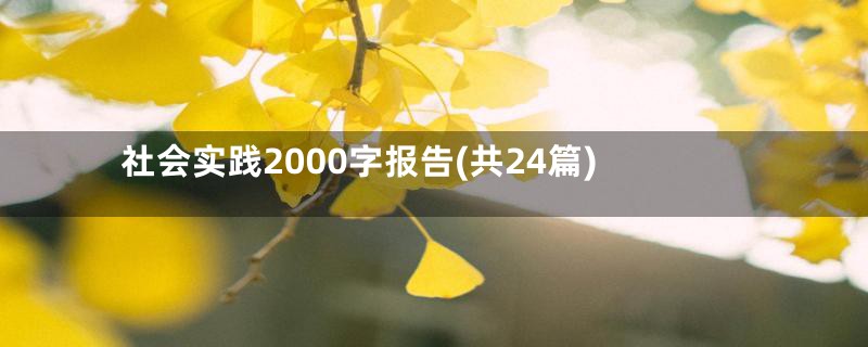 社会实践2000字报告(共24篇)