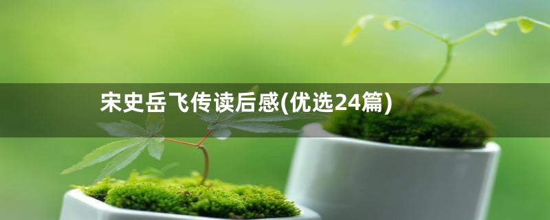 宋史岳飞传读后感(优选24篇)