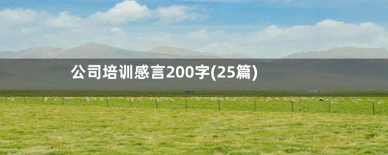 公司培训感言200字(25篇)