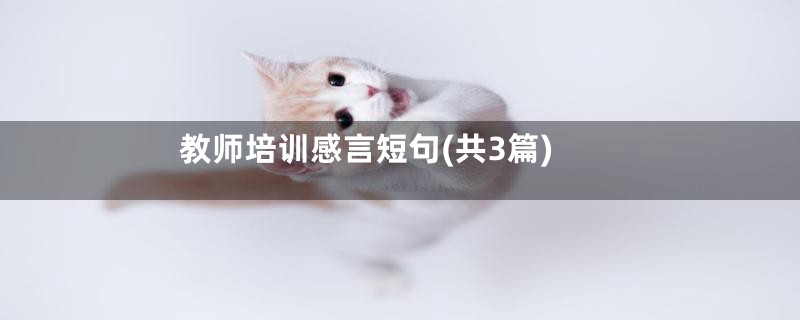 教师培训感言短句(共3篇)