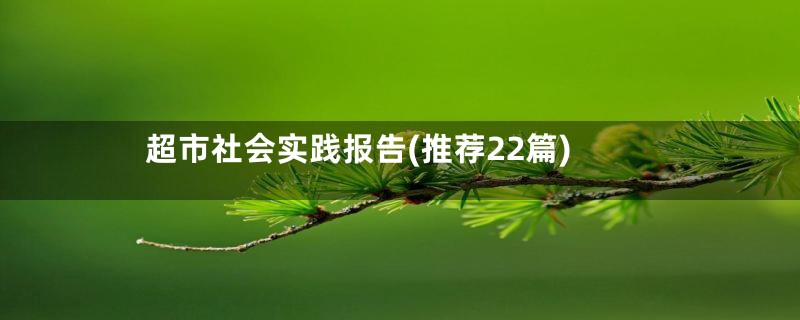 超市社会实践报告(推荐22篇)