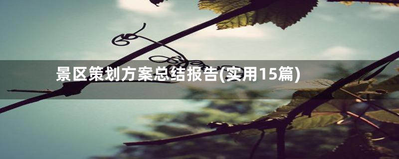 景区策划方案总结报告(实用15篇)