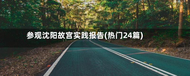 参观沈阳故宫实践报告(热门24篇)