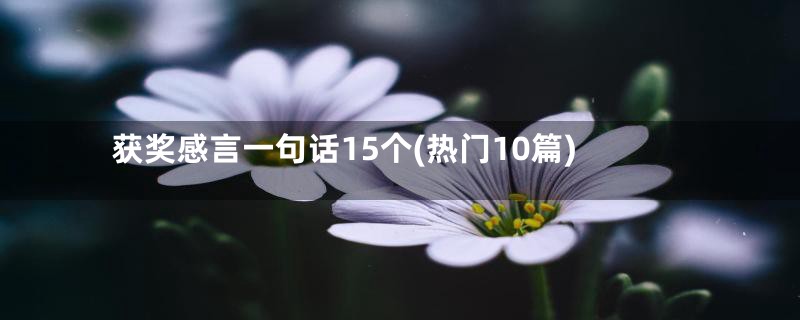 获奖感言一句话15个(热门10篇)