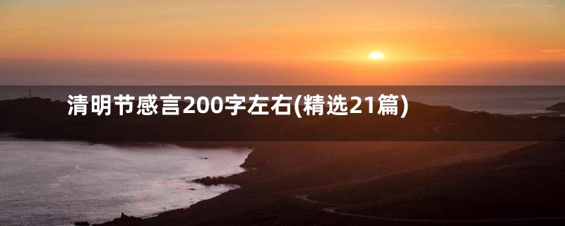 清明节感言200字左右(精选21篇)