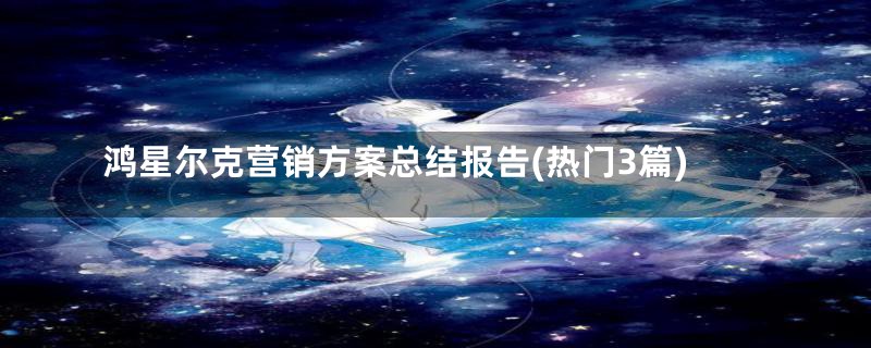 鸿星尔克营销方案总结报告(热门3篇)