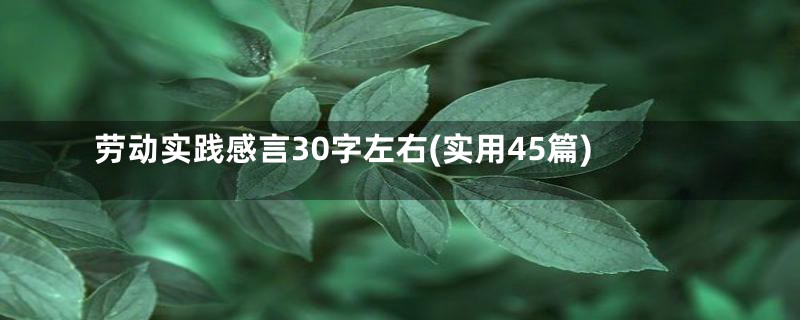 劳动实践感言30字左右(实用45篇)