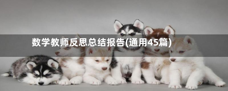 数学教师反思总结报告(通用45篇)