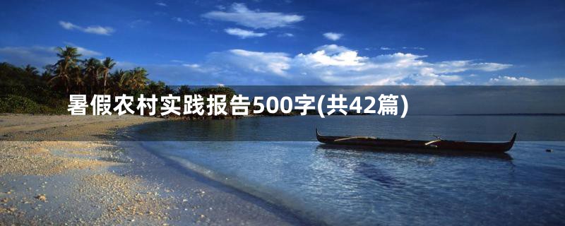 暑假农村实践报告500字(共42篇)