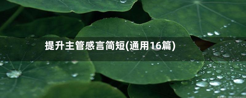 提升主管感言简短(通用16篇)