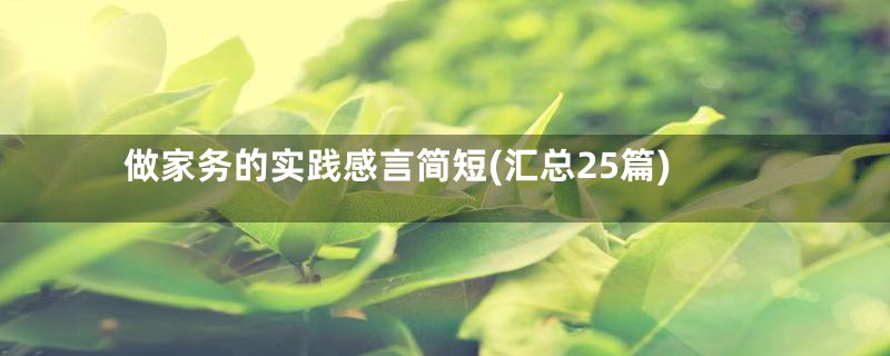 做家务的实践感言简短(汇总25篇)