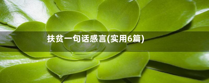 扶贫一句话感言(实用6篇)