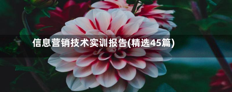 信息营销技术实训报告(精选45篇)