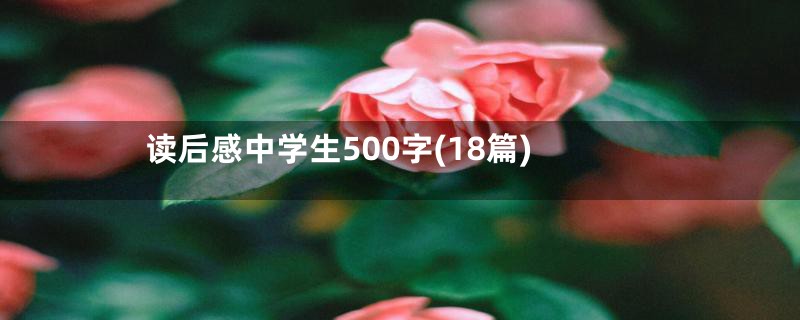 读后感中学生500字(18篇)