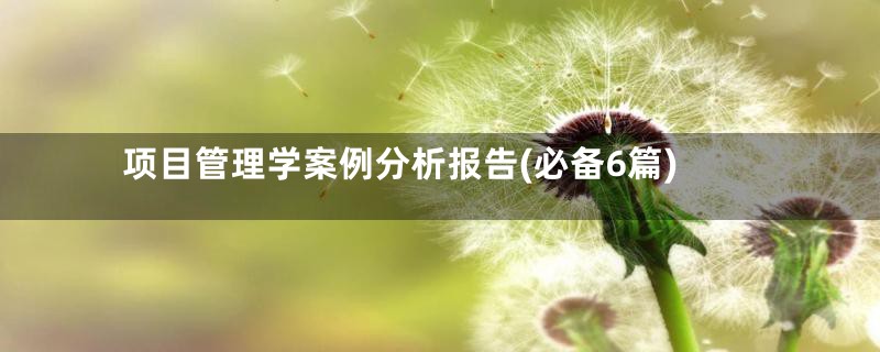 项目管理学案例分析报告(必备6篇)